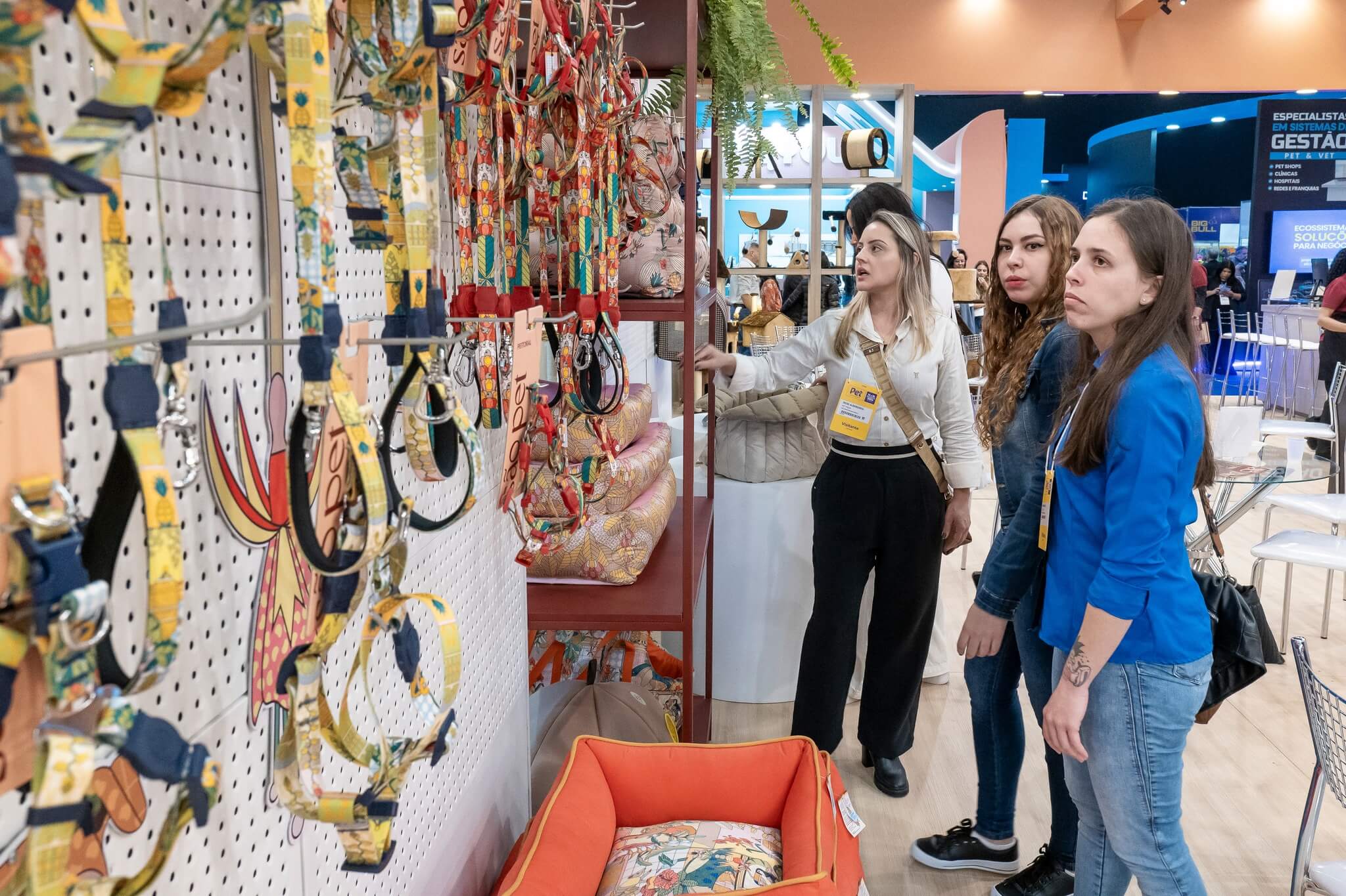 459025577_924501753056243_6625316212293293199_n