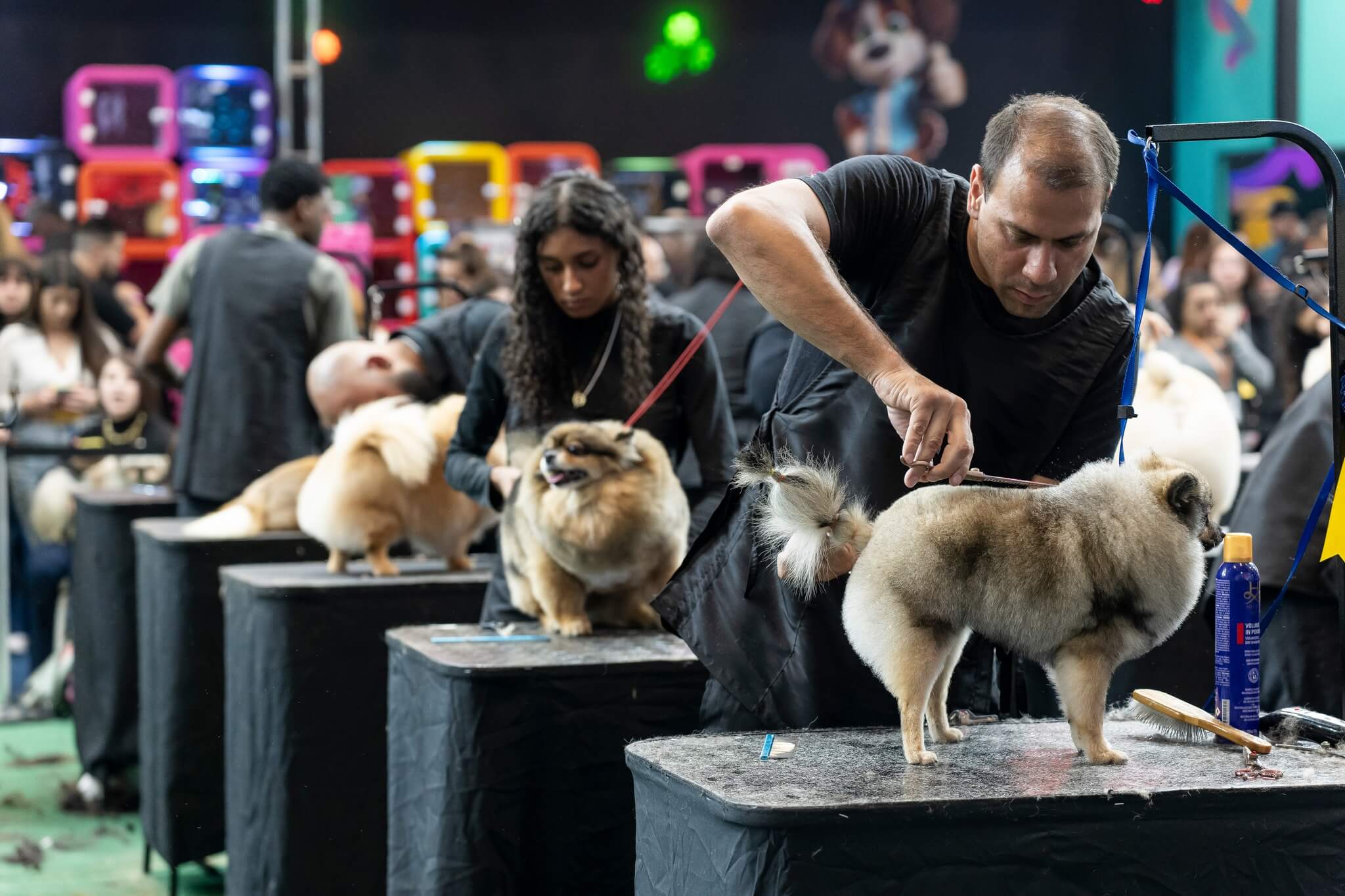 459037858_924491819723903_323343403651803505_n