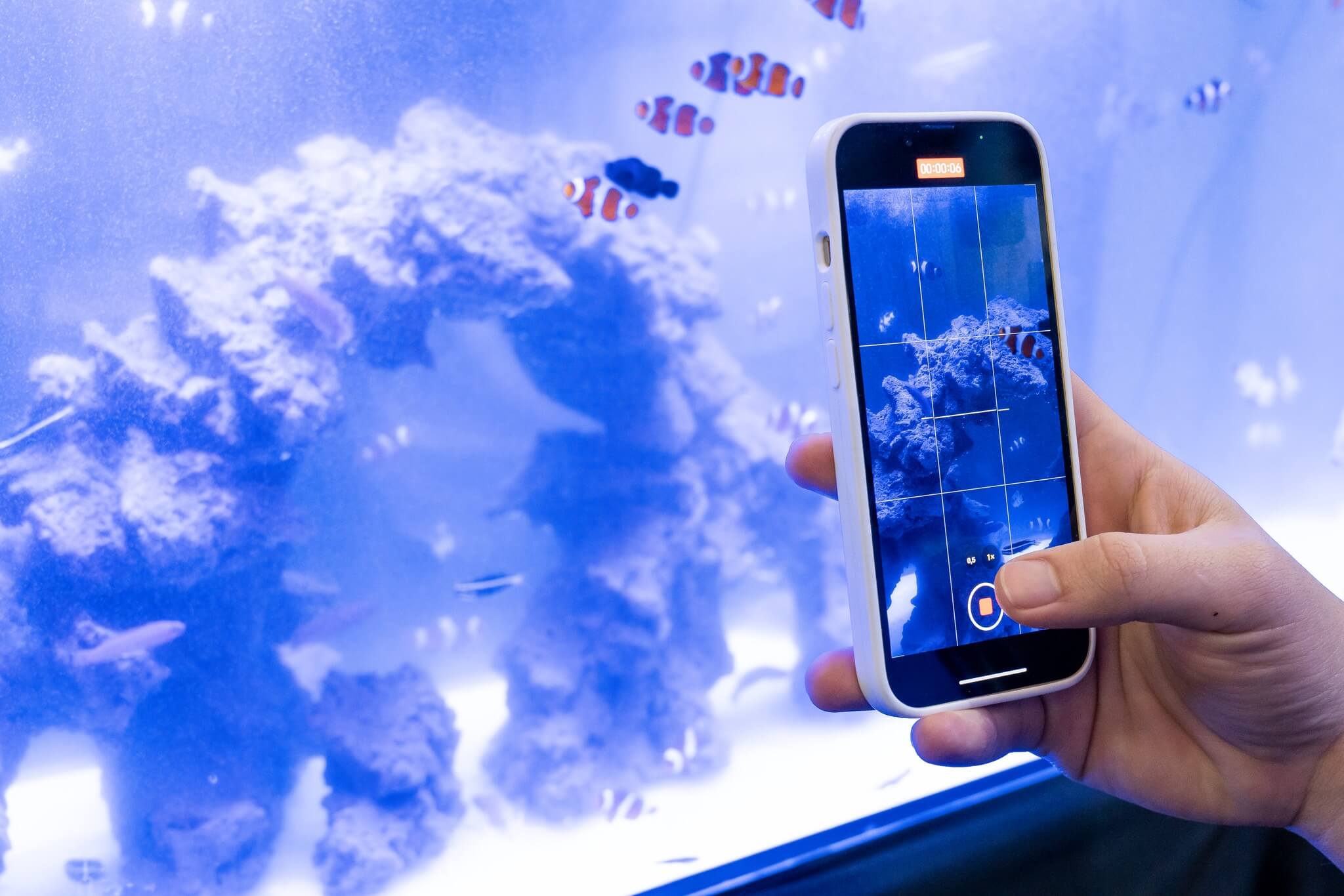 459160410_924492689723816_1432048031012823508_n